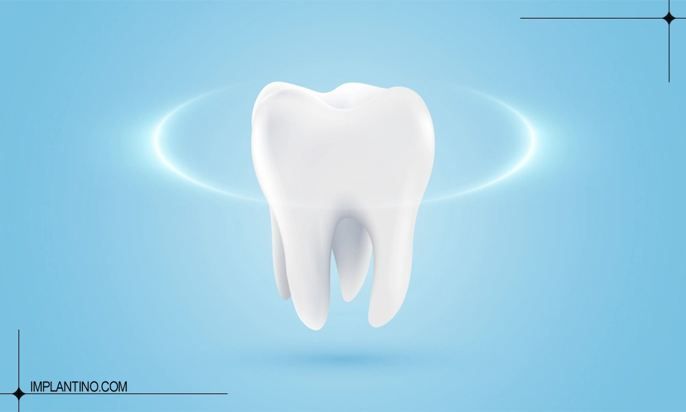 عکس دندان انسان