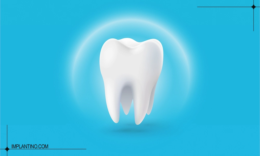 تصویر دندان انسان